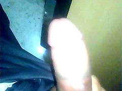 Pene 
