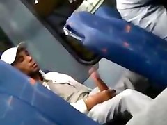 paja en el bus
