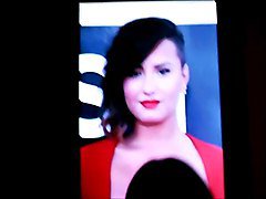 Demi Lovato Tribute