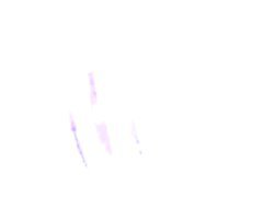 赤毛 