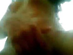 LATI 292