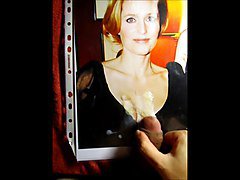 Cum On Gillian Anderson Vol177