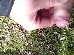 allein im wald
