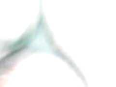 amature