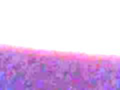 후장 