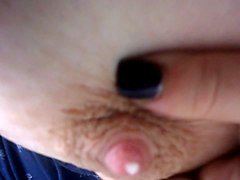 Lait 