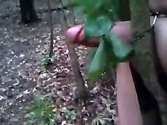 die peitsche