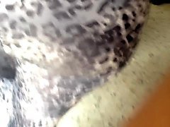 culona leggins atigrado 2