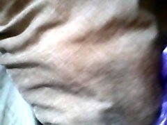 cum tribute to cheshire