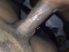bbw cd sucking bbc