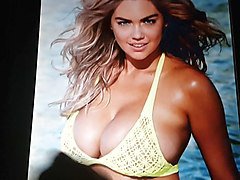 kate upton tribute 4
