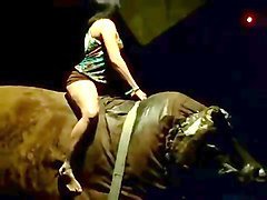 ride the bull