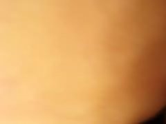 뚱보 