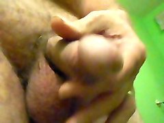 Penis 