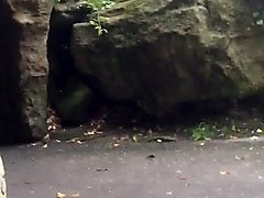 public wank
