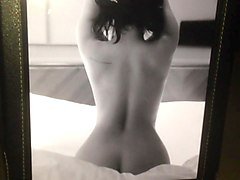 demi lovato tribute 3
