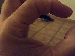 girth of my cock, ancho de mi pene