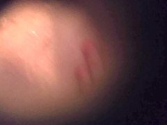 Подсмотренное 