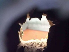 Подсмотренное 