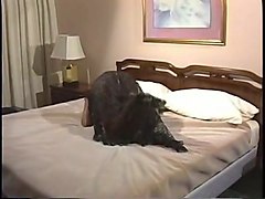 vintage ebony ayres