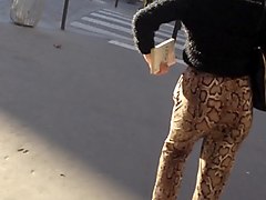 Жопа 
