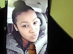 tribute to erin 2