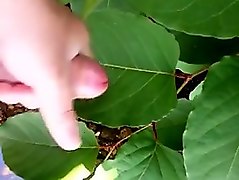 수음 딸딸이 