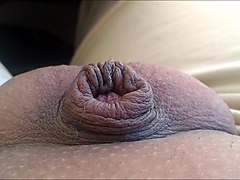 my dancing penis