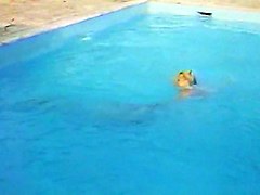 slips fendus et porte-jarretelles (1987) marylin jess