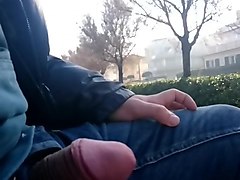 flash 8 