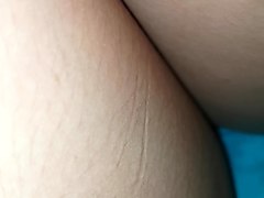 팬티 