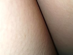 팬티 